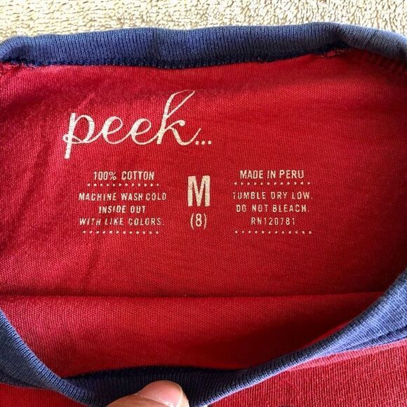 Peek Kids Spring Baseball Graphic Raglan Tee - Picture 3 of 7